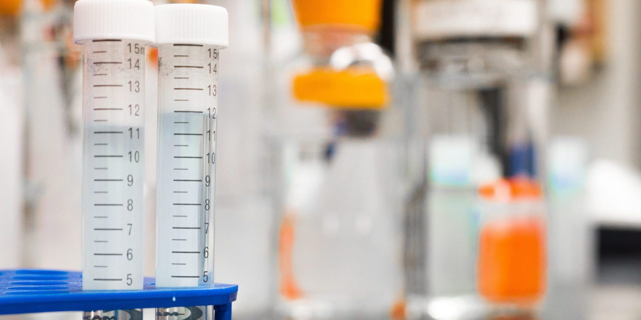 Szerbiától kapott teszteket semmisít meg Koszovó