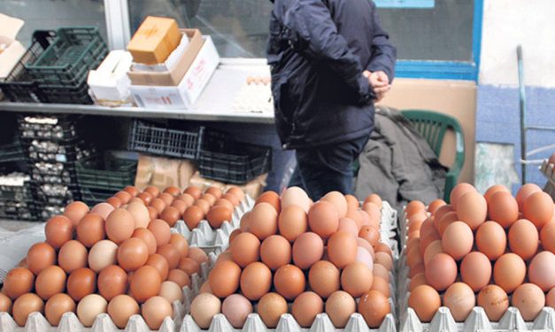 Nem drágább, olcsóbb lehet a tojás húsvétra