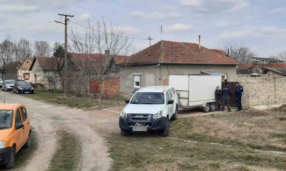 A kutyatámadásban elhunyt zentai kisfiú szüleinek felelősségét vizsgálja a rendőrség