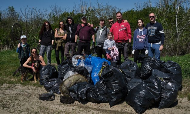 Tavaszi nagytakarítás Zentán