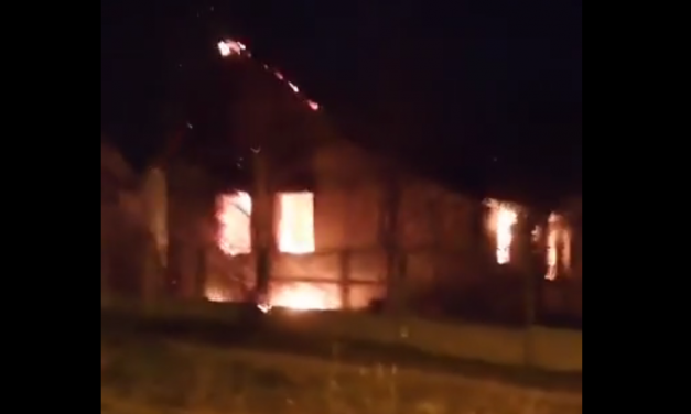 Megkezdődött a vitamincsomagok kézbesitése