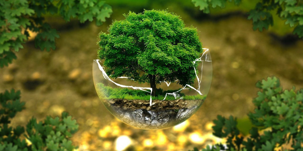 <span class="entry-title-primary">Kitartóan terheljük Földünket</span> <span class="entry-subtitle">Kilátásaink a jövőre nézve egyáltalán nem a legjobbak</span>