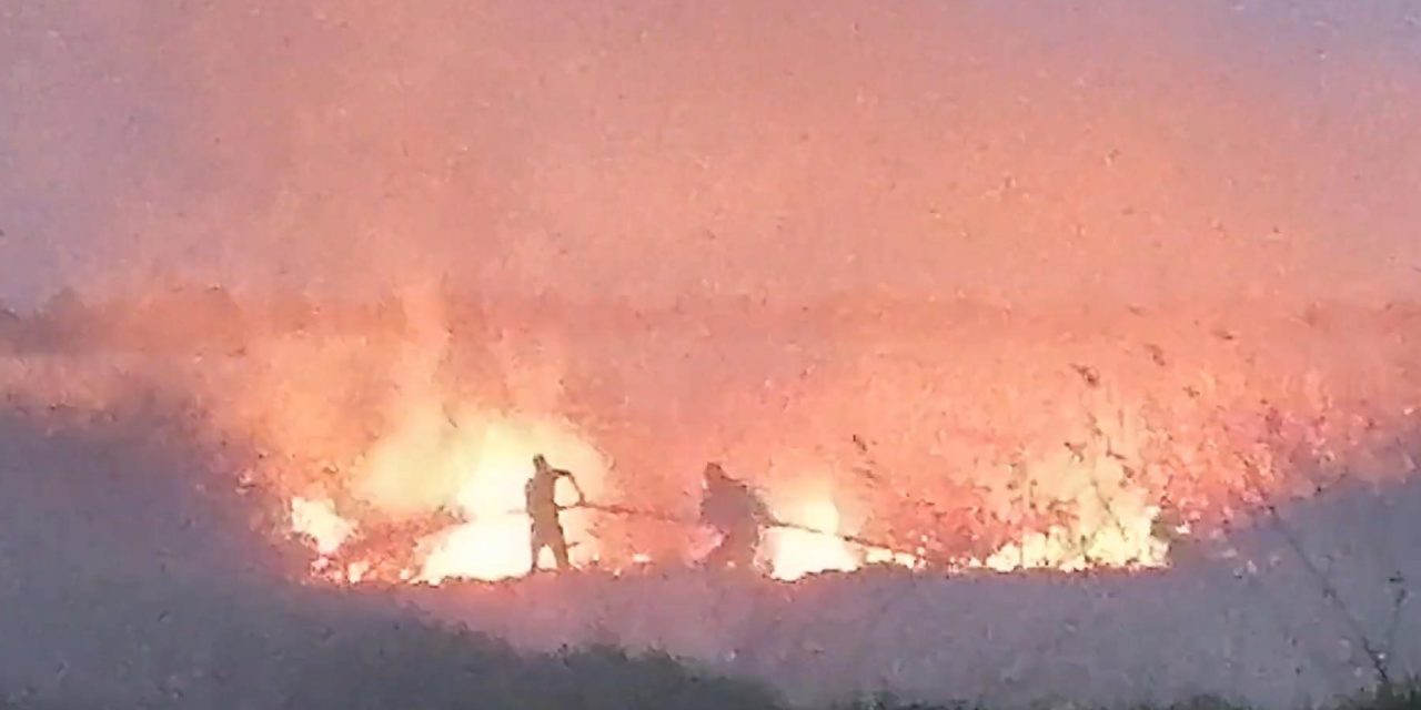 Magyarországon balesetezett Nyilas Mihály, a VMSZ államtitkára