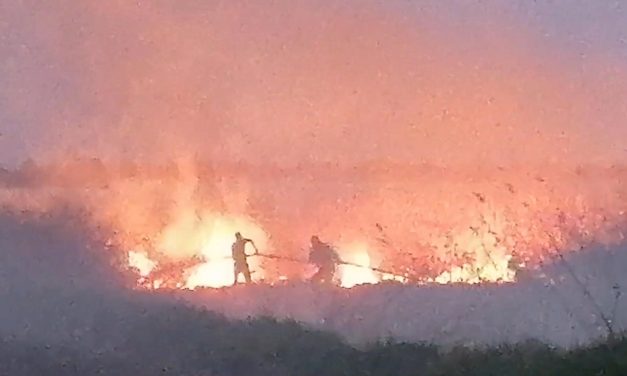 Magyarországon balesetezett Nyilas Mihály, a VMSZ államtitkára