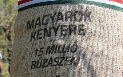 Több mint 20 tonna búzát adományoztak a vajdasági gazdák a Magyarok Kenyere programra
