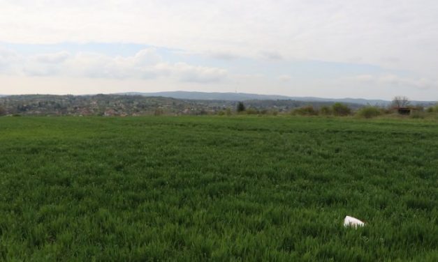 Négymilliárdból épül Covid-kórház Újvidéken