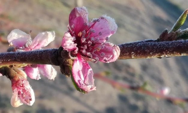Pénteken húsz fok is lehet, vasárnap már fagyhat