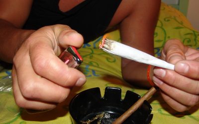 Csak tavaly négy tonna marihuánát foglalt le a rendőrség