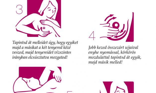 Könnyek közt mondott le az osztrák egészségügyi miniszter