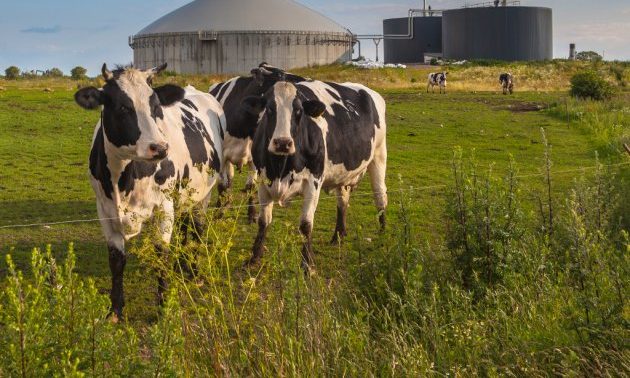 Basahídon biogázüzem nyílik