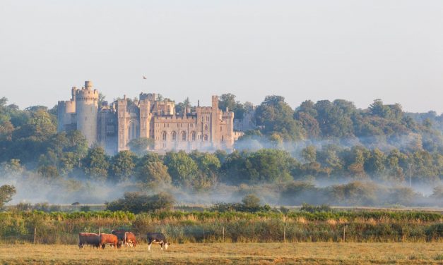 Ellopták Mária skót királynő ékszereit
