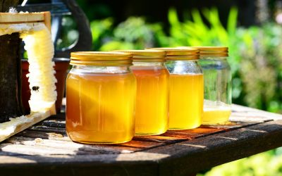 Agrárminisztérium: magyar kezdeményezésre változik a mézjelölés az Európai Unióban