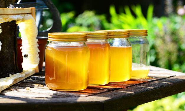 Agrárminisztérium: magyar kezdeményezésre változik a mézjelölés az Európai Unióban