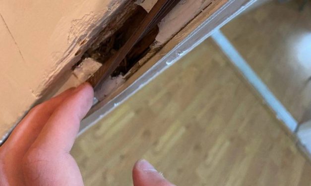 A jagodinai rendőrség szerint nem törtek be a politikus otthonába