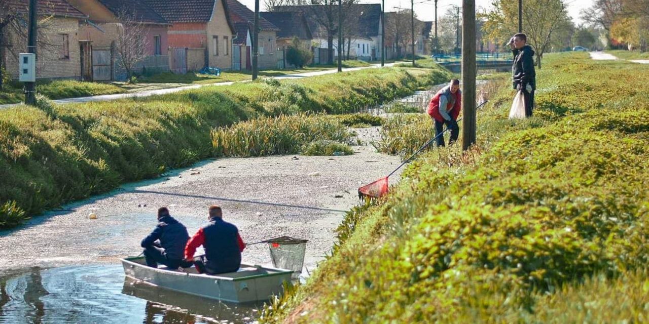 Csantavéren is van élet!