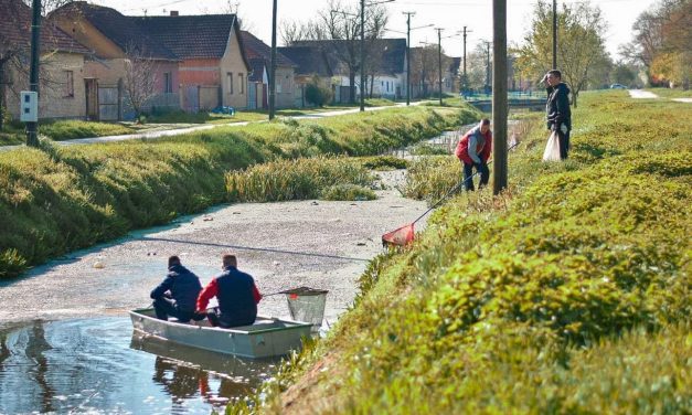 Csantavéren is van élet!