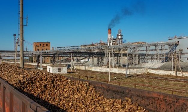 Árverésen a zentai cukorgyár