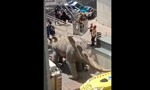 Holttestet találtak egy kültéri dinoszaurusz-szoborban Spanyolországban (Videó)