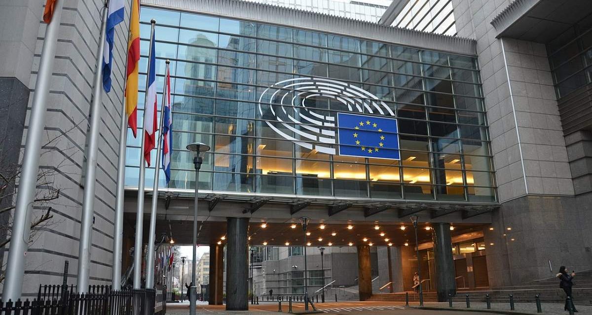 „Az ellenzék abban bízik, hogy az Európai Parlamentből valaki letartóztatja az államelnököt”