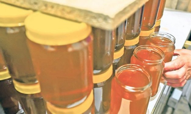 Kivisszük a jót, behozzuk a…