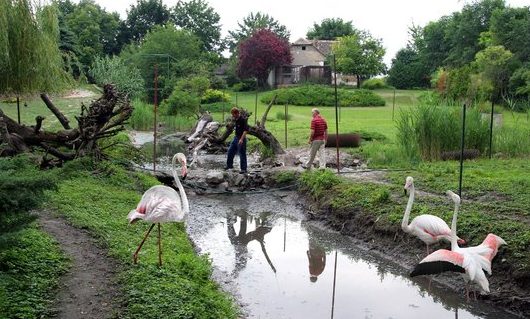 Ahol az állatok vendégei vagyunk (Videóval)