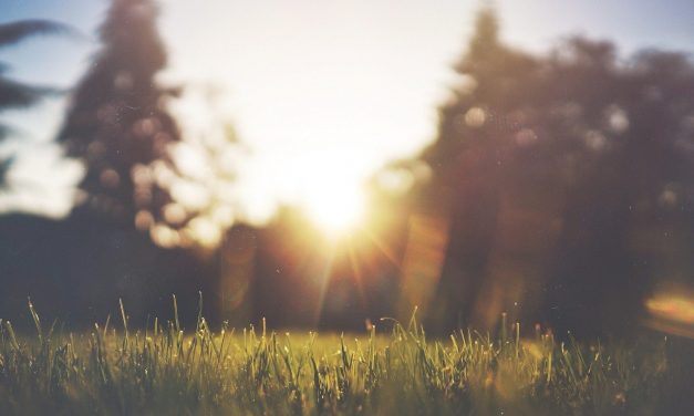 Megdőlt a január elsejei melegrekord