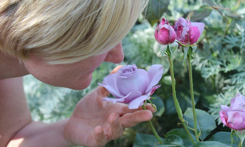Tréninggel a koronavírus-fertőzésben elvesztett szaglás visszaállításáért