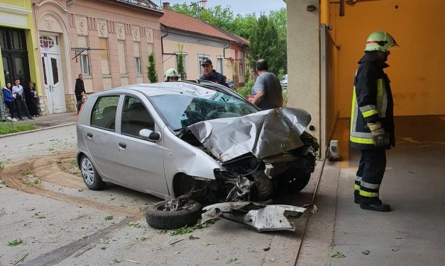 Fákat és karót is kidöntött a Fiat Punto sofőrje