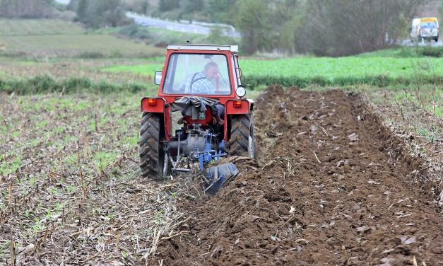 Csaknem kétszázezer eurót ér egy hektár föld ezen a vajdasági településen