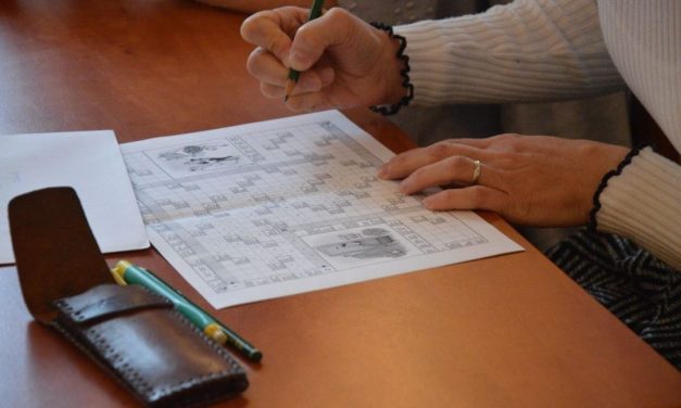 Keresztrejtvény- és sudokufejtő verseny Zentán