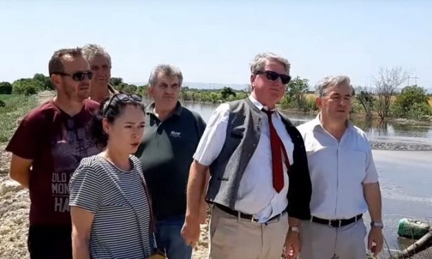 Továbbra is orrfacsaró bűzt áraszt a temerini sertésfarm