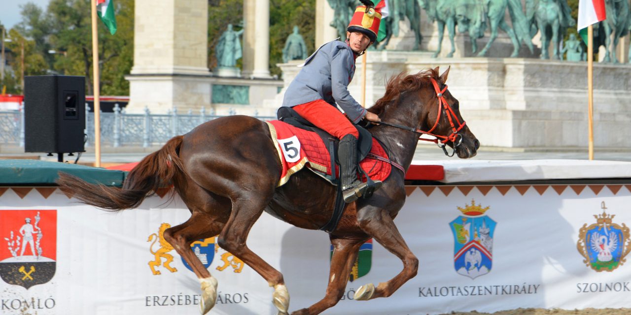 <span class="entry-title-primary">Sok ismerős versenyzővel rajtol a Vajdasági Vágta</span> <span class="entry-subtitle">Idén Vajdaság nyitja a Nemzeti Vágta előfutamait</span>