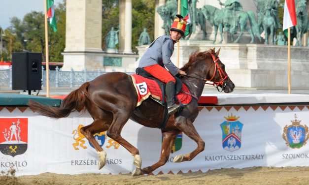 <span class="entry-title-primary">Sok ismerős versenyzővel rajtol a Vajdasági Vágta</span> <span class="entry-subtitle">Idén Vajdaság nyitja a Nemzeti Vágta előfutamait</span>