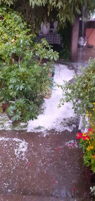 grad-led-sombor - RTV