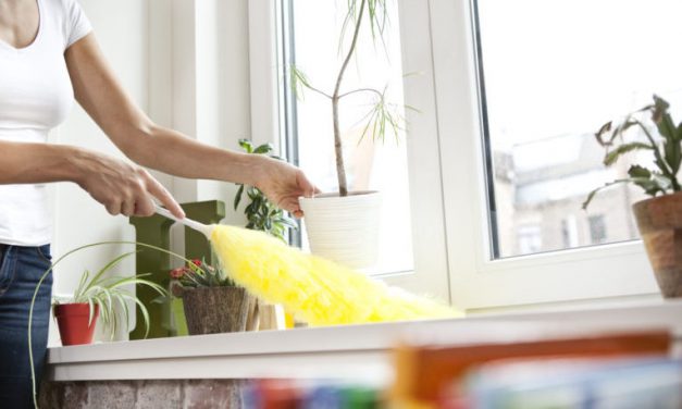 A háziasszonyokat is megilleti az egészségügyi biztosítás
