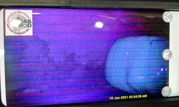 Egy kiló drogot csempészett Horgosnál