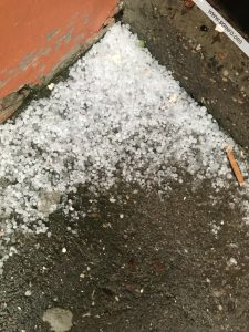 jeg Zomborban - soinfo