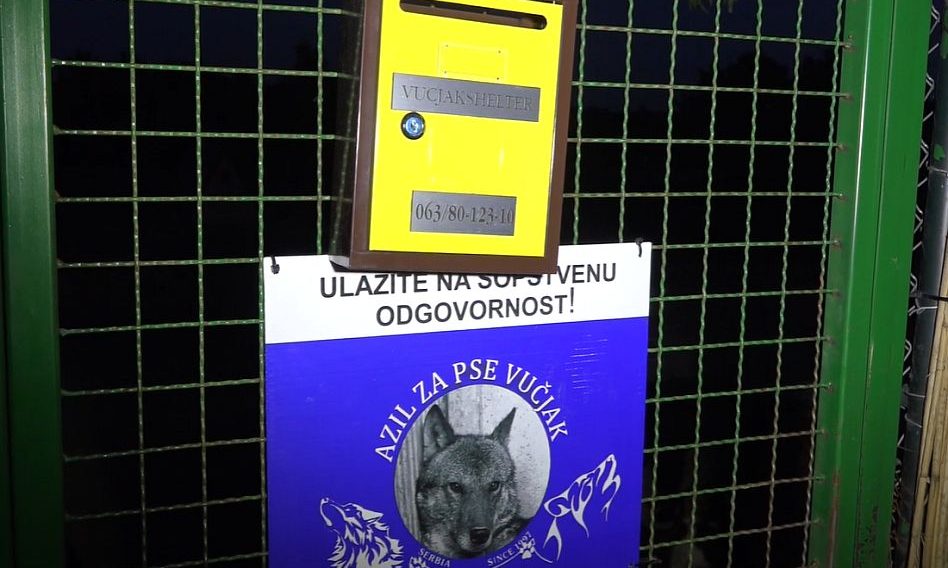 Több állatot kínzott halálra egy kutyamenhely tulajdonosa (videó)