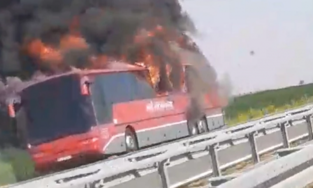 Kigyulladt egy autóbusz Bácsfeketehegy közelében az autópályán