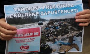 temerin - sertésfarm - N1