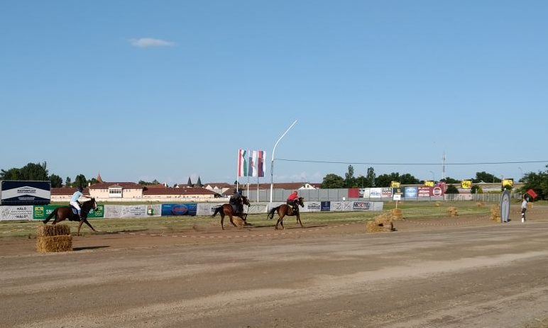 Királyhalom nyerte a Vajdasági Vágtát