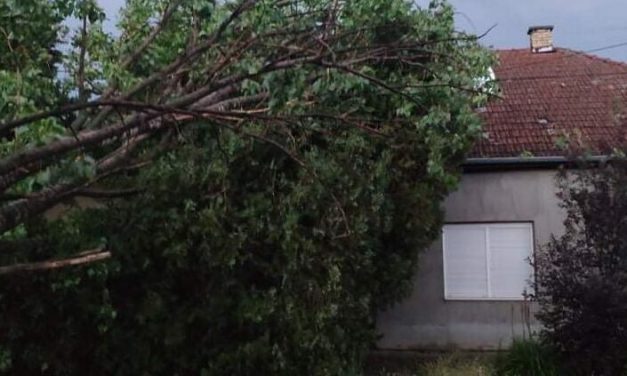 Kidőlt fák, elszakadt vezetékek, áramszünet