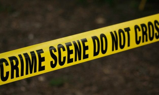 <span class="entry-title-primary">Az új újság</span> <span class="entry-subtitle">Szerbiai sajtószemle (2021. július 2-8.)</span>