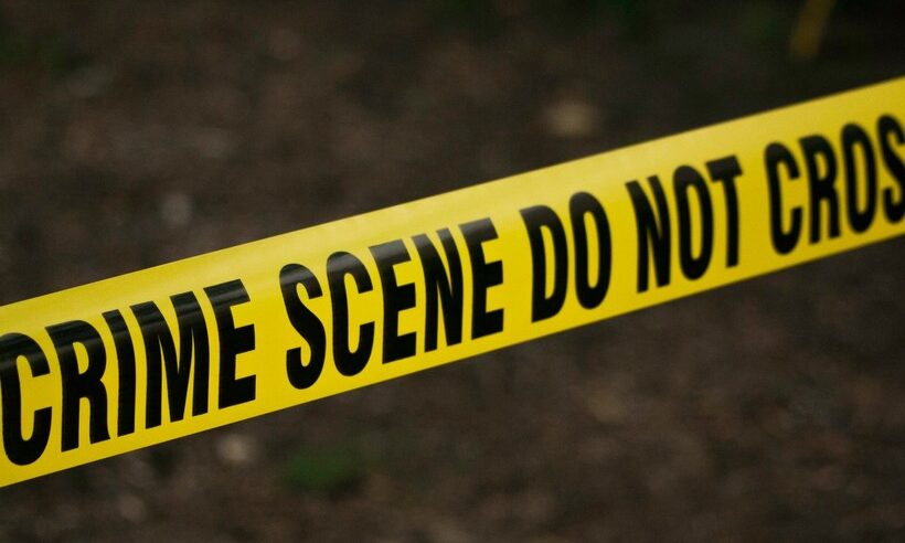 <span class="entry-title-primary">Az új újság</span> <span class="entry-subtitle">Szerbiai sajtószemle (2021. július 2-8.)</span>