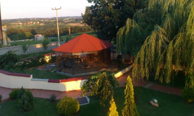 Pincében, megkötözve tartották az embereket egy belgrádi idősotthonban