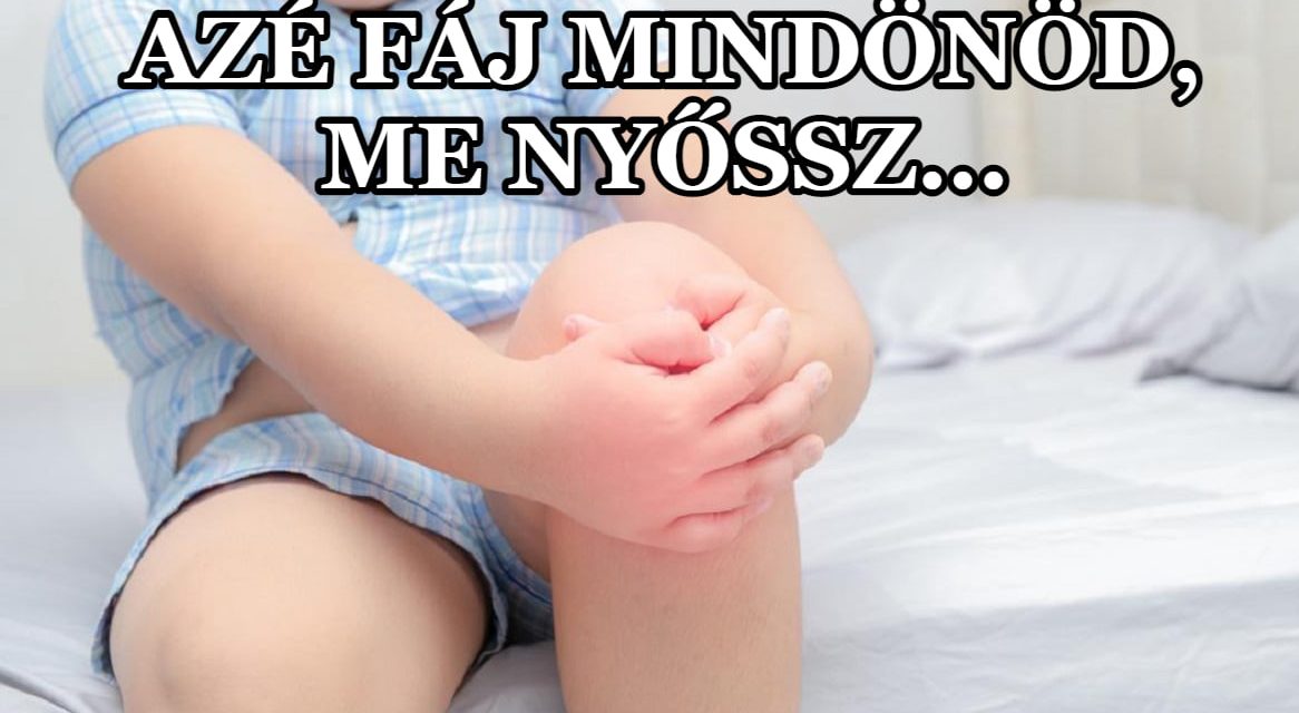 <span class="entry-title-primary">Képeken visszaköszönő Vajdaság</span> <span class="entry-subtitle">Beszélgetés az University of Bótelőtt oldal szerkesztőivel</span>