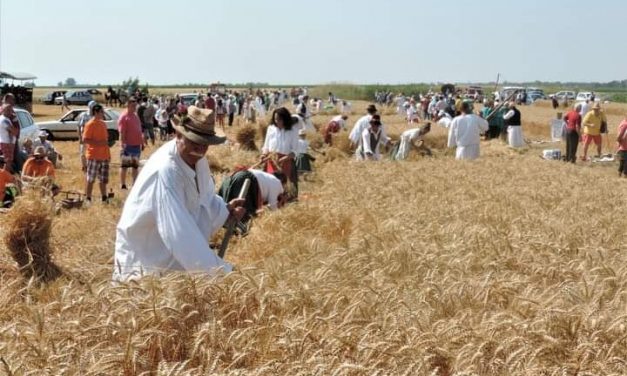 Az idén nem marad el az Aratóünnep