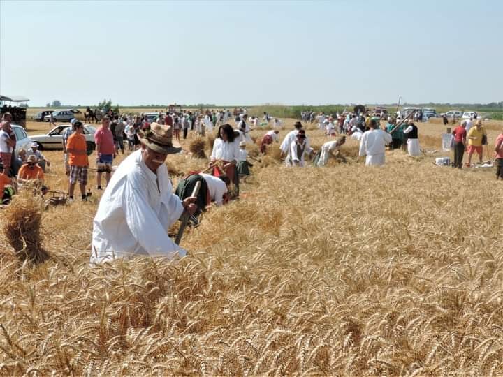 <span class="entry-title-primary">Könyv készül a felsőhegyi aratóünnepségről</span> <span class="entry-subtitle">Egy győzelem története: amikor a pályabíró megszomjazott, és az élen állók továbbhaladtak rossz irányba</span>