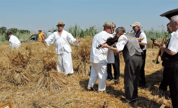 <span class="entry-title-primary">Könyv készül a felsőhegyi aratóünnepségről</span> <span class="entry-subtitle">Családi Kör 2021. augusztus 5. – lapszemle</span>