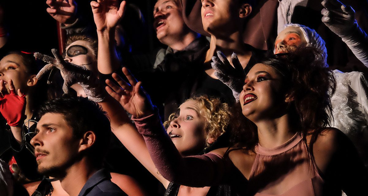 Vajdasági Magyar Legjava 2021